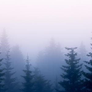 黑人两男一女做爱高潮视频
